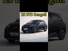 चीनी इलेक्ट्रिक कारें